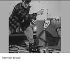 Herman Brood Vervalsingen Forceries Valsbrood