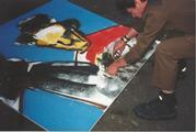 Herman Brood Vervalsingen Forceries Valsbrood